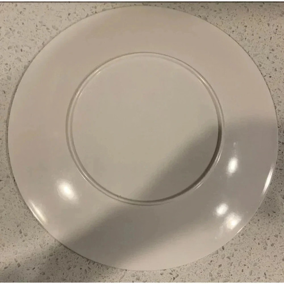 Camp Casual Retro Themed Plates set of 4 - Picture 7 of 9